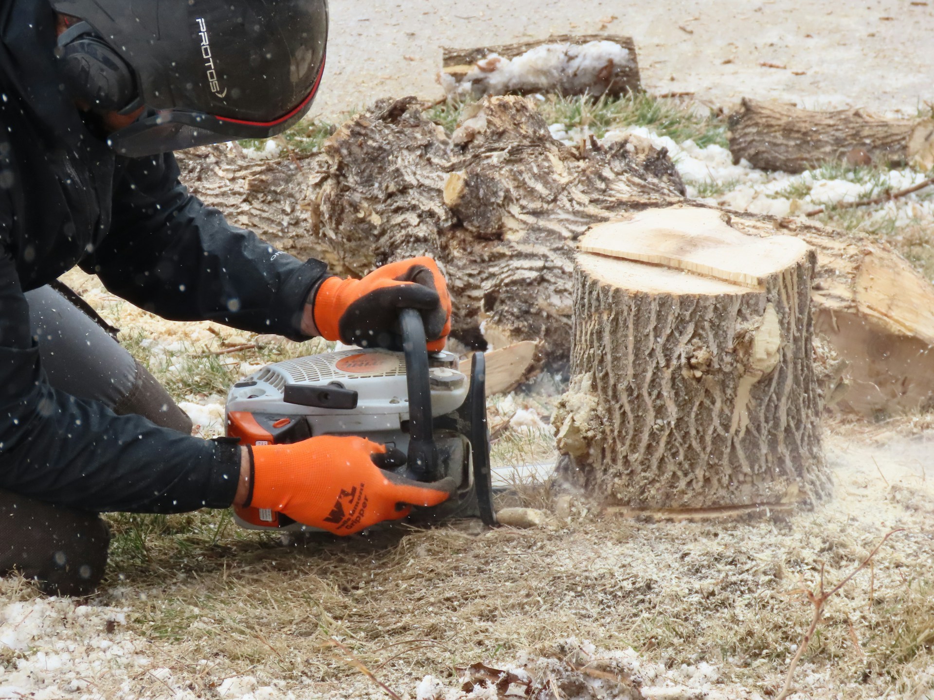 stump grinding