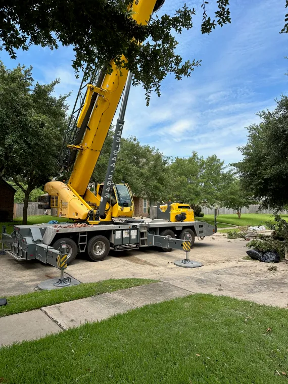 emergency tree work in Houston